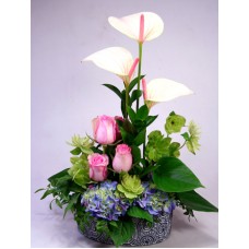 White flamingos and roses
